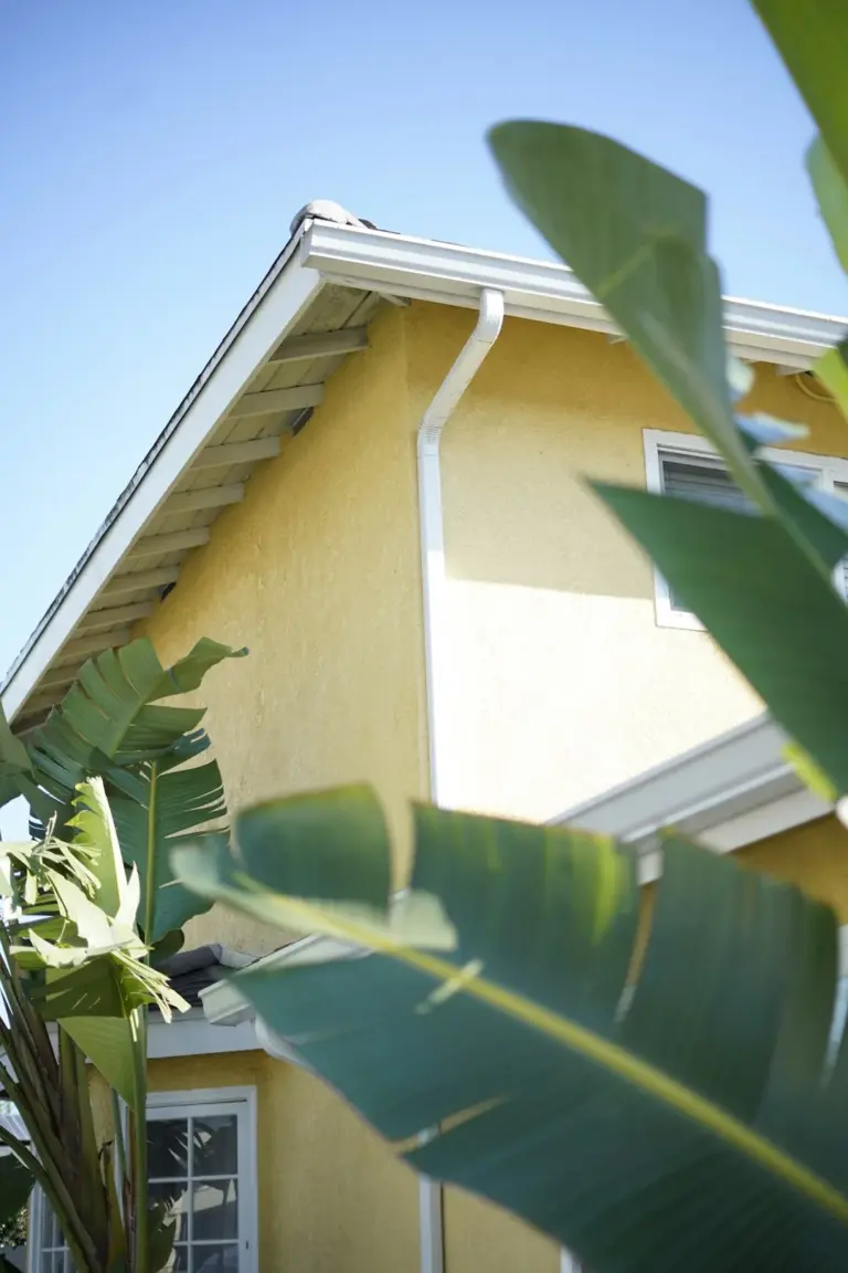 White downspout running down a yellow stucco gable wall beneath a roofline, framed by banana leaves