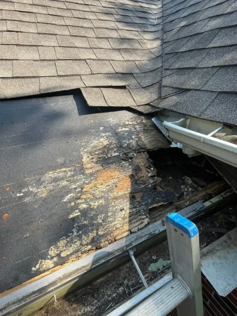 Ladder leaning against a roof eave with rotted decking and exposed underlayment near the gutter in Cypress, TX