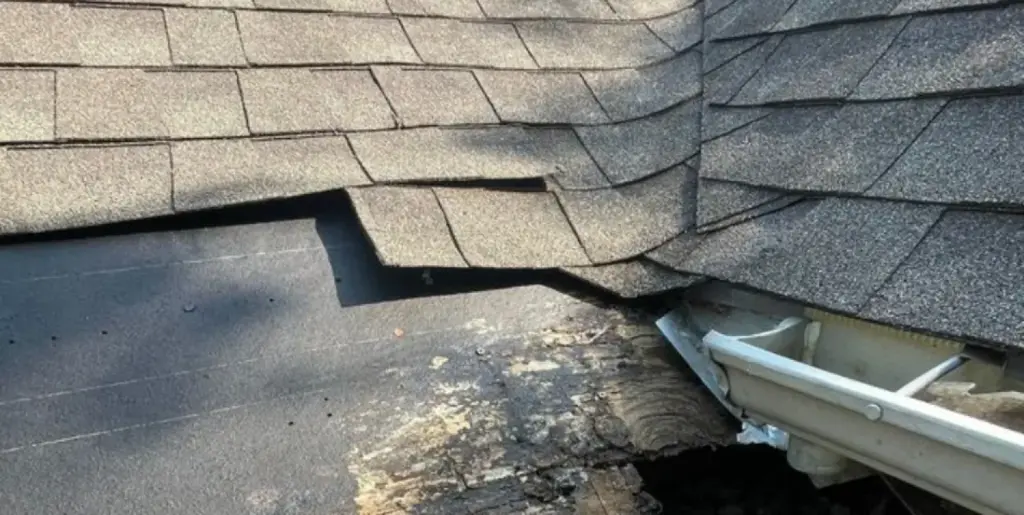 Close-up of a torn asphalt shingle edge exposing black underlayment and rotted decking above a gutter